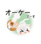 色々な猫3-1 短毛-立ち耳-白（個別スタンプ：28）