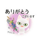 色々な猫3-1 短毛-立ち耳-白（個別スタンプ：31）