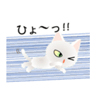 色々な猫3-1 短毛-立ち耳-白（個別スタンプ：34）