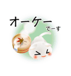 色々な猫3-2 短毛-垂れ耳-白（個別スタンプ：28）