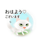 色々な猫3-3 長毛-立ち耳-白（個別スタンプ：1）