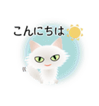 色々な猫3-3 長毛-立ち耳-白（個別スタンプ：5）