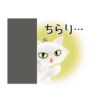 色々な猫3-3 長毛-立ち耳-白（個別スタンプ：6）