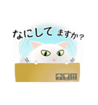 色々な猫3-3 長毛-立ち耳-白（個別スタンプ：8）