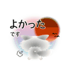色々な猫3-3 長毛-立ち耳-白（個別スタンプ：11）