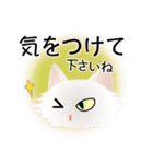 色々な猫3-3 長毛-立ち耳-白（個別スタンプ：14）