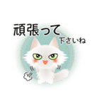 色々な猫3-3 長毛-立ち耳-白（個別スタンプ：16）