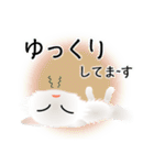 色々な猫3-3 長毛-立ち耳-白（個別スタンプ：18）