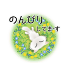 色々な猫3-3 長毛-立ち耳-白（個別スタンプ：19）