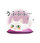 色々な猫3-3 長毛-立ち耳-白（個別スタンプ：25）