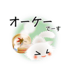 色々な猫3-3 長毛-立ち耳-白（個別スタンプ：28）