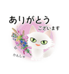 色々な猫3-3 長毛-立ち耳-白（個別スタンプ：31）