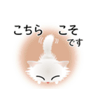 色々な猫3-3 長毛-立ち耳-白（個別スタンプ：32）