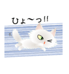 色々な猫3-3 長毛-立ち耳-白（個別スタンプ：34）