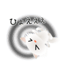 色々な猫3-3 長毛-立ち耳-白（個別スタンプ：35）