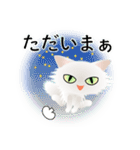 色々な猫3-3 長毛-立ち耳-白（個別スタンプ：38）