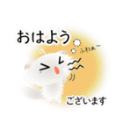 色々な猫3-4 長毛-垂れ耳-白（個別スタンプ：2）