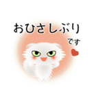 色々な猫3-4 長毛-垂れ耳-白（個別スタンプ：3）