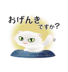 色々な猫3-4 長毛-垂れ耳-白（個別スタンプ：4）