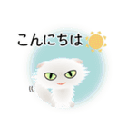 色々な猫3-4 長毛-垂れ耳-白（個別スタンプ：5）
