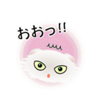 色々な猫3-4 長毛-垂れ耳-白（個別スタンプ：10）