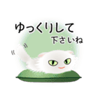 色々な猫3-4 長毛-垂れ耳-白（個別スタンプ：12）