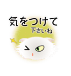 色々な猫3-4 長毛-垂れ耳-白（個別スタンプ：14）
