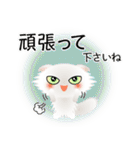 色々な猫3-4 長毛-垂れ耳-白（個別スタンプ：16）