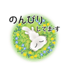 色々な猫3-4 長毛-垂れ耳-白（個別スタンプ：19）