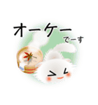 色々な猫3-4 長毛-垂れ耳-白（個別スタンプ：28）