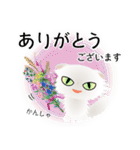 色々な猫3-4 長毛-垂れ耳-白（個別スタンプ：31）