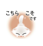 色々な猫3-4 長毛-垂れ耳-白（個別スタンプ：32）