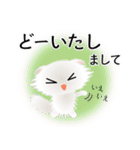 色々な猫3-4 長毛-垂れ耳-白（個別スタンプ：33）