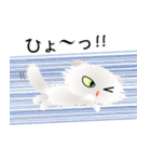色々な猫3-4 長毛-垂れ耳-白（個別スタンプ：34）