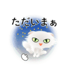 色々な猫3-4 長毛-垂れ耳-白（個別スタンプ：38）