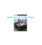 もずくちゃんおいしいね（個別スタンプ：6）