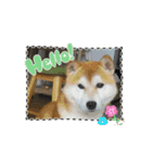 ポーちゃんスタンプpart2（個別スタンプ：9）