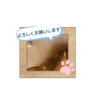 ポーちゃんスタンプpart2（個別スタンプ：12）