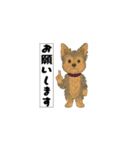 アクションk-gigi33（個別スタンプ：2）