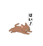 アクションk-gigi33（個別スタンプ：3）