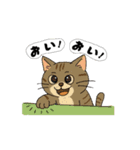 アクションk-gigi33（個別スタンプ：9）