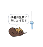 新・激しく尻尾をふるダックス【基本篇】（個別スタンプ：1）