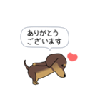 新・激しく尻尾をふるダックス【基本篇】（個別スタンプ：2）