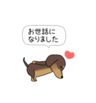 新・激しく尻尾をふるダックス【基本篇】（個別スタンプ：3）