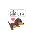 新・激しく尻尾をふるダックス【基本篇】（個別スタンプ：4）