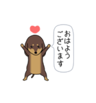 新・激しく尻尾をふるダックス【基本篇】（個別スタンプ：5）