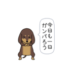 新・激しく尻尾をふるダックス【基本篇】（個別スタンプ：6）