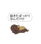 新・激しく尻尾をふるダックス【基本篇】（個別スタンプ：7）