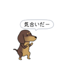 新・激しく尻尾をふるダックス【基本篇】（個別スタンプ：8）