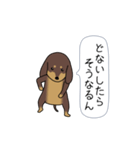 新・激しく尻尾をふるダックス【基本篇】（個別スタンプ：9）